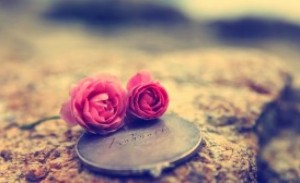 Love-Rose-Wall