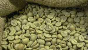 green-coffee-beans-weight-loss